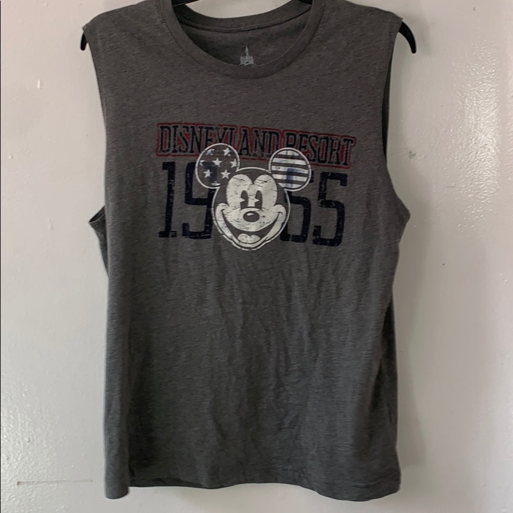 Disneyland Resort top
